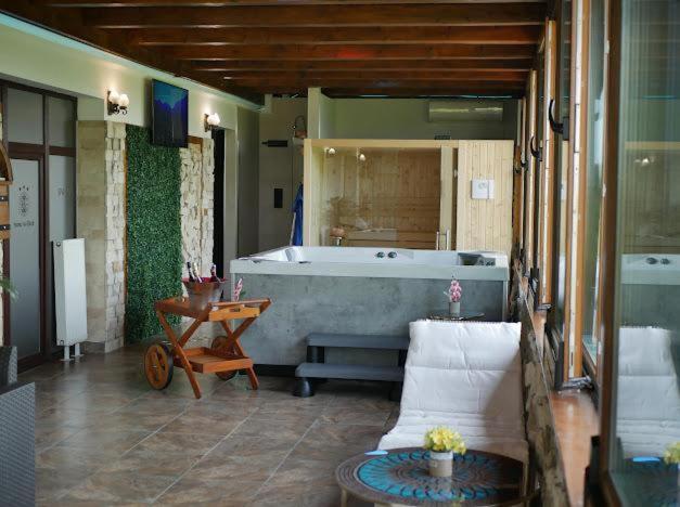 Hanu Lui Gica Spa Satu Mare Exterior photo