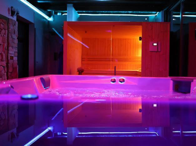 Hanu Lui Gica Spa Satu Mare Exterior photo