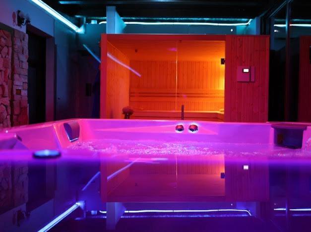 Hanu Lui Gica Spa Satu Mare Exterior photo